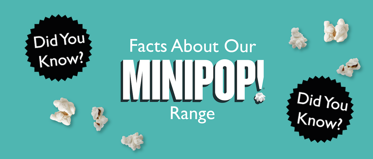 Mini Pop