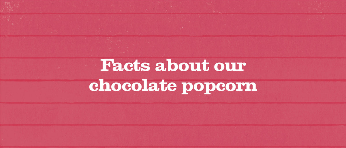 All about our Chocolate Popcorn Flavours