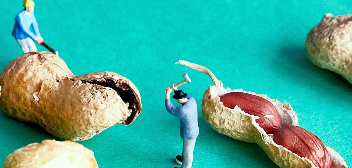 Miniature people with gigantic peanuts