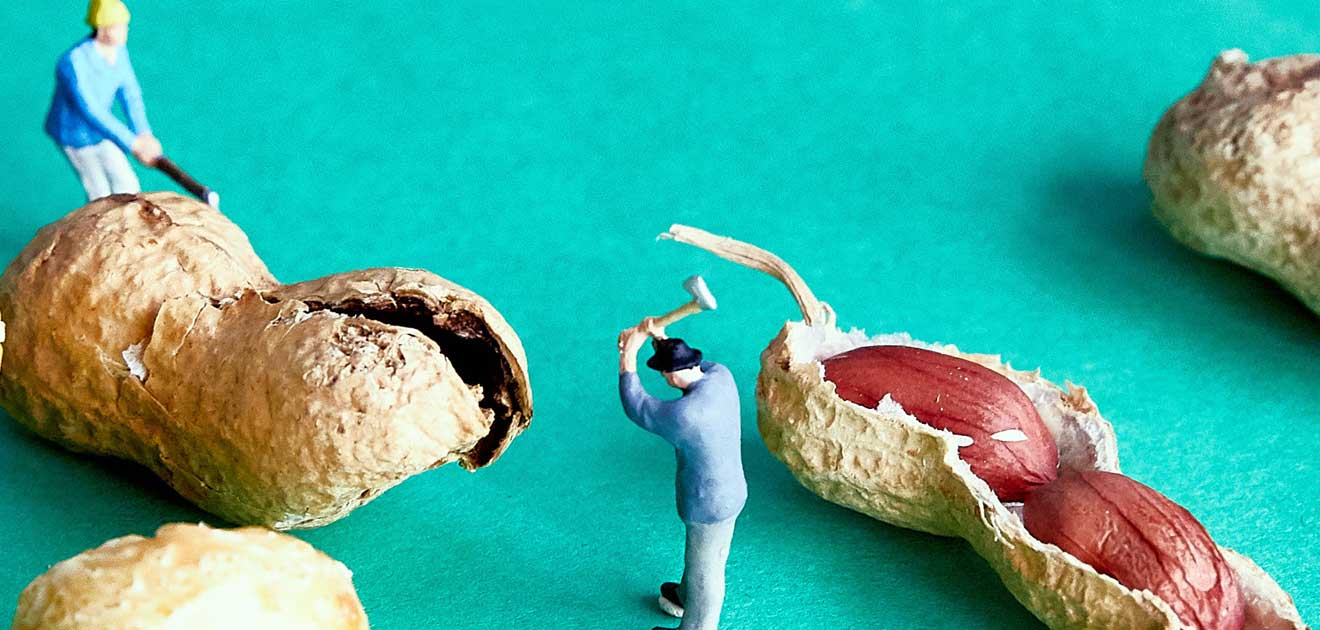 Miniature people with gigantic peanuts