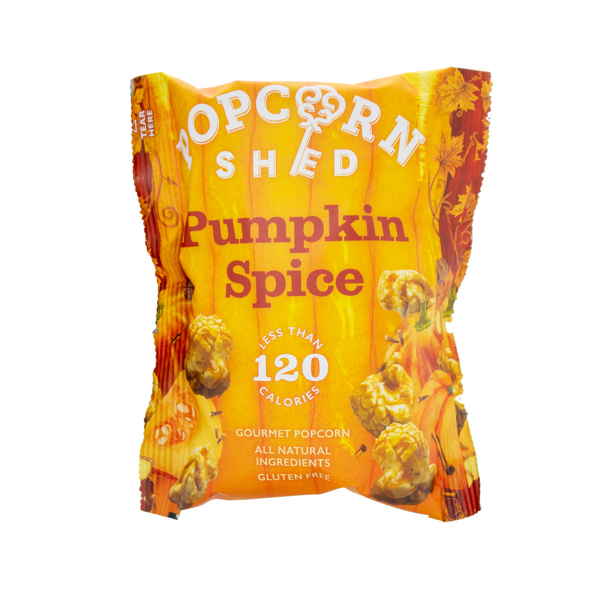 Pumpkin Spice Popcorn Snack Packs | 16 Pack