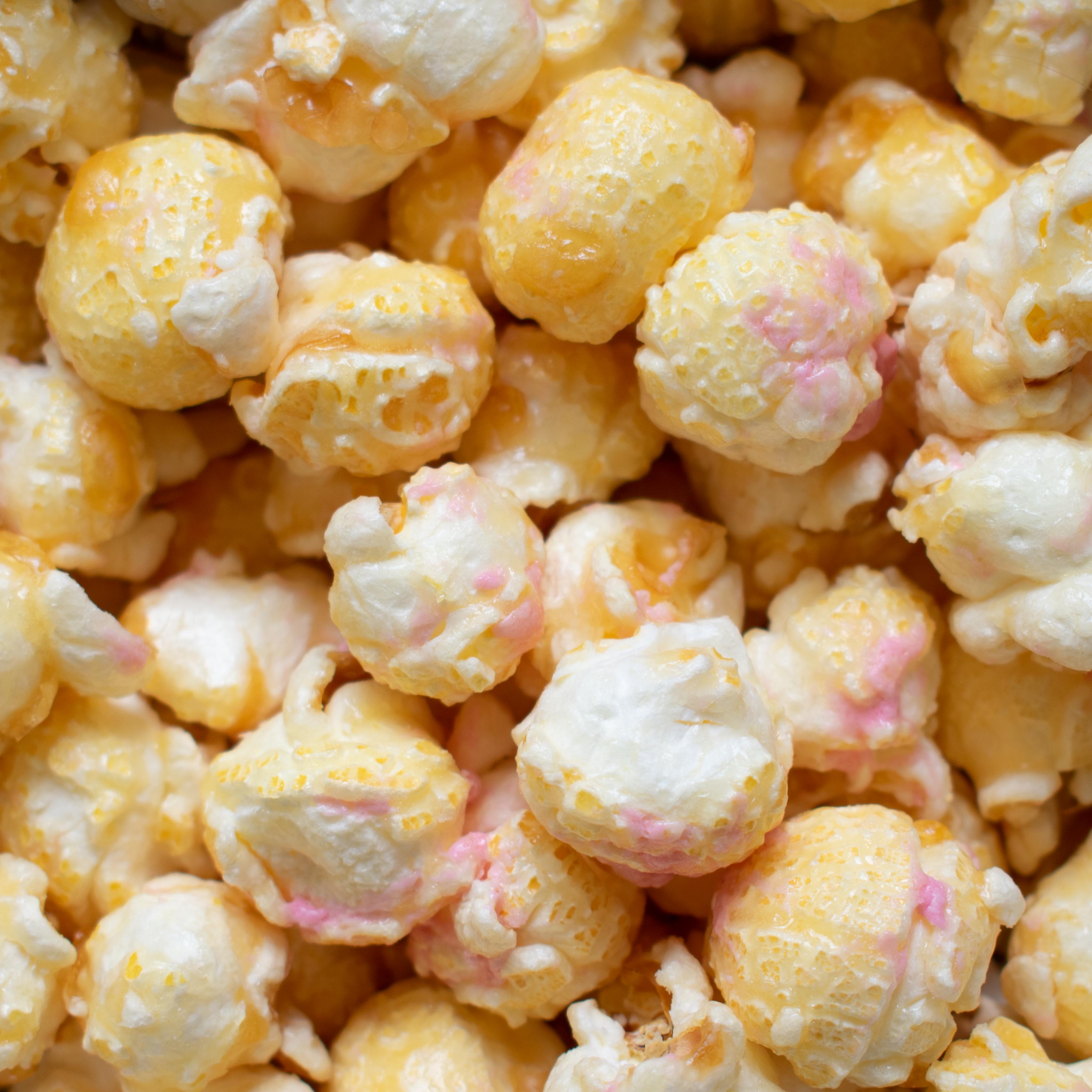 Vegan Gourmet Popcorn Selection - 5 Popcorn Sheds - Popcorn Shed