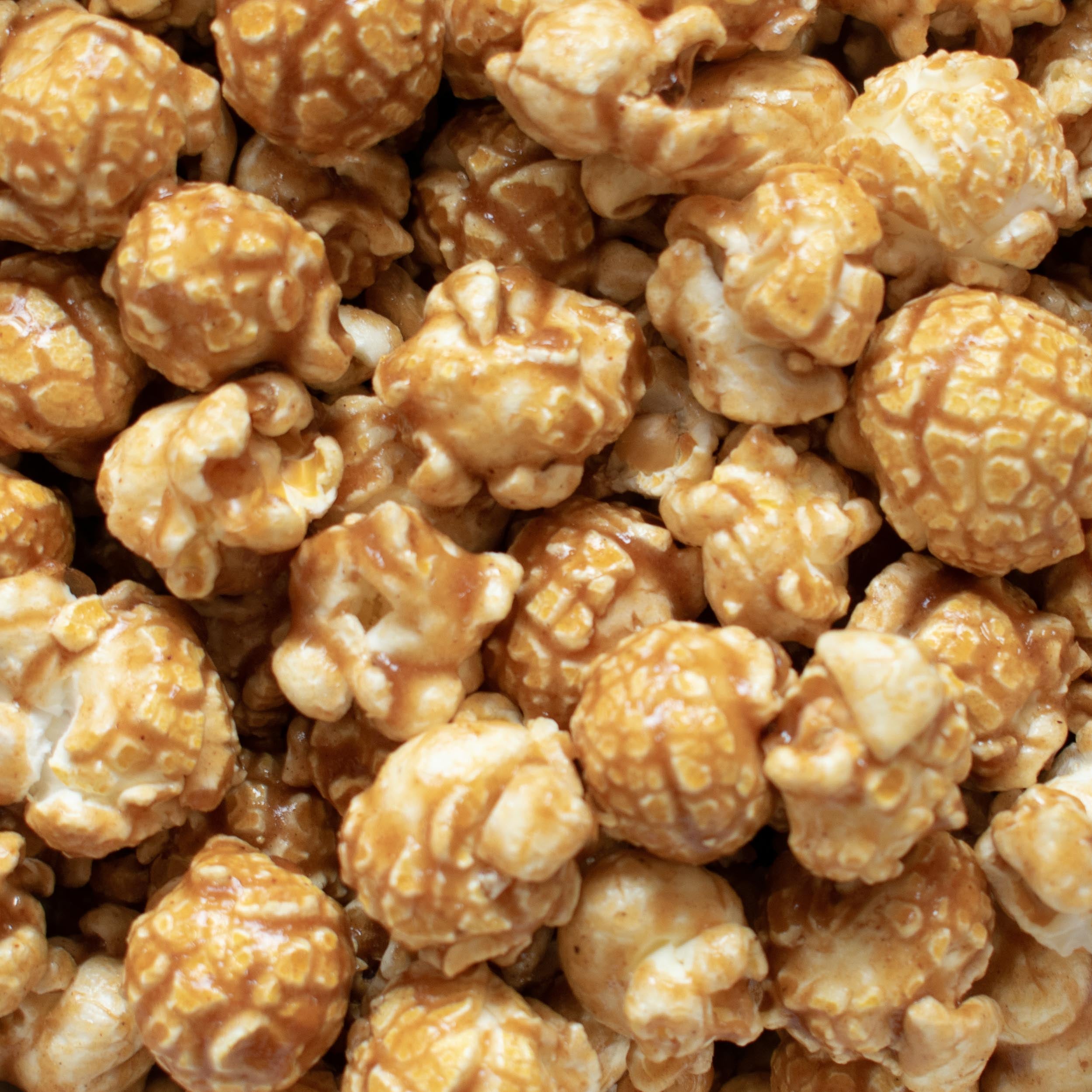 Gingerbread Popcorn Snack Pack - Popcorn Shed