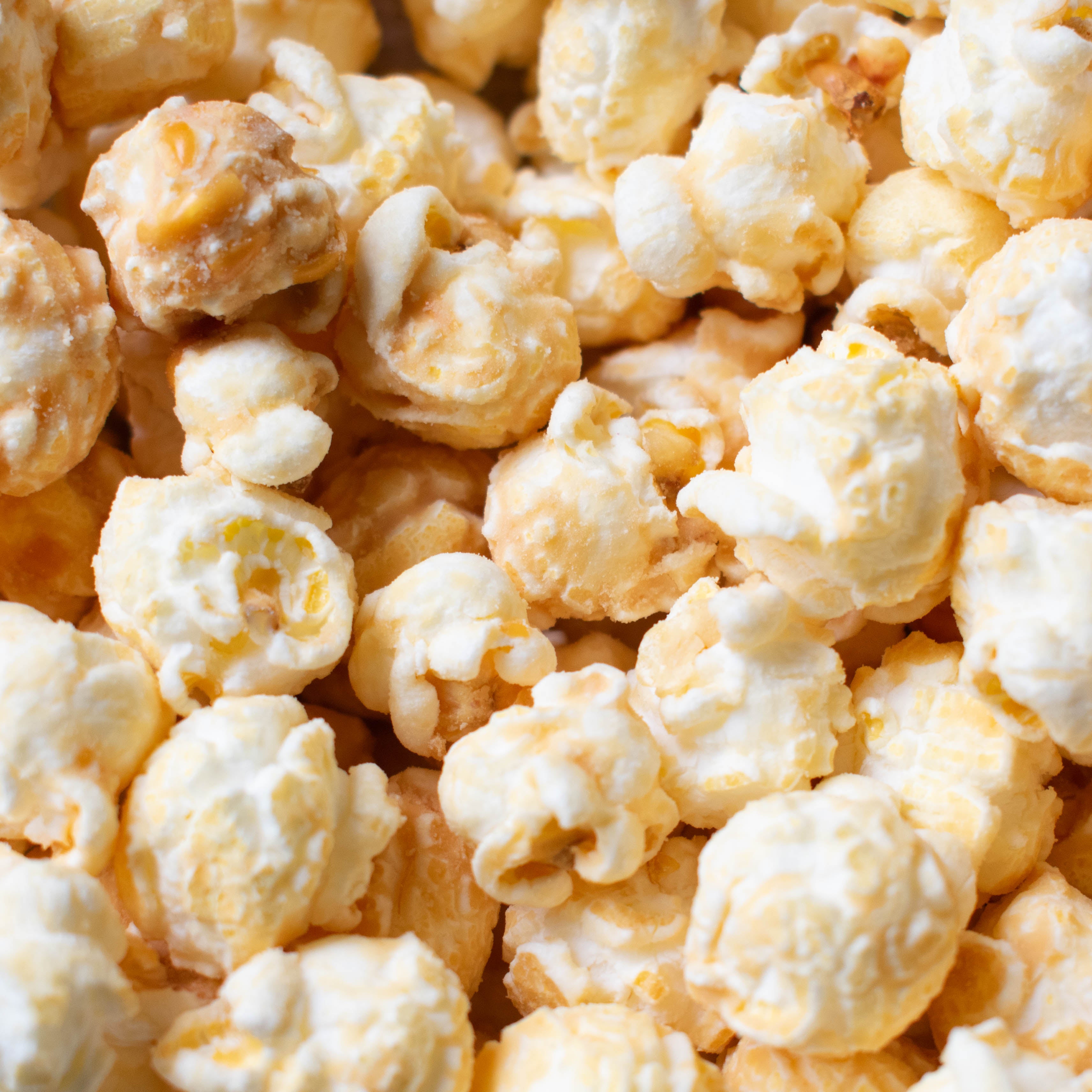Say Cheese! Snack Pack - Popcorn Shed